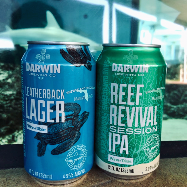 Reef Revival Session IPA and Leatherback Lager pictured in front of shark tank at Mote Marine Lab in Sarasota