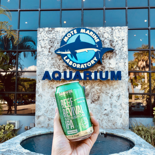 Reef Revival Session IPA from Darwin Brewing pictured in front of Mote Marine Laboratory and Aquarium's front entrance sign and fountain